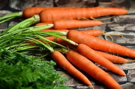 do cooked carrots cause bloating